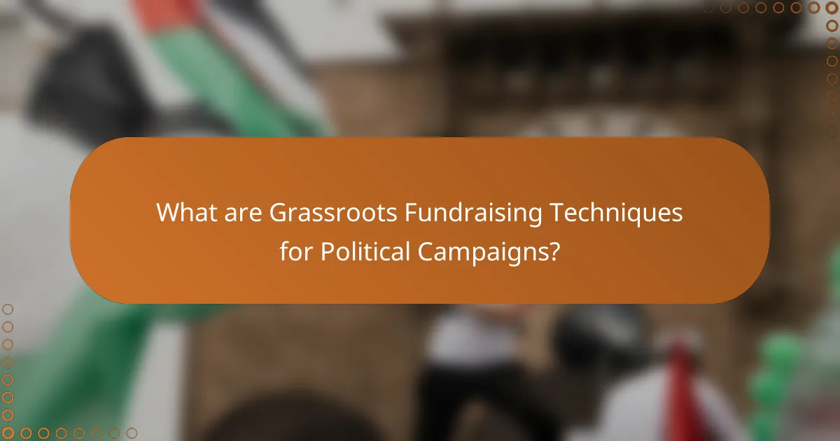 What are Grassroots Fundraising Techniques for Political Campaigns?