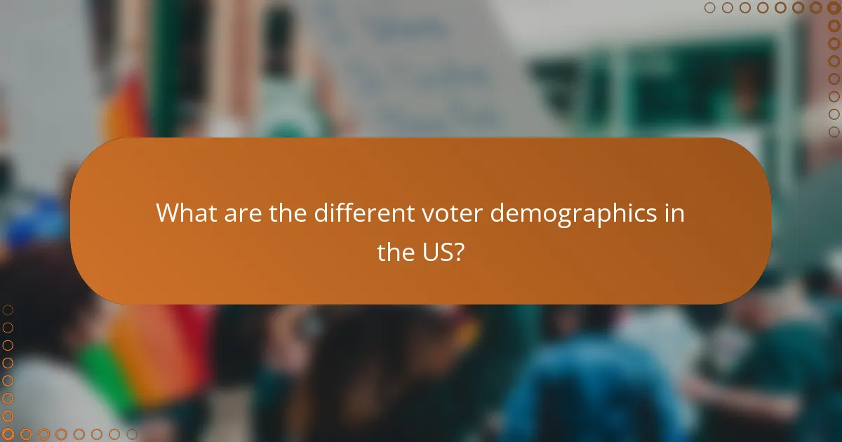 What are the different voter demographics in the US?