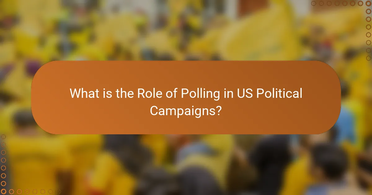 What is the Role of Polling in US Political Campaigns?