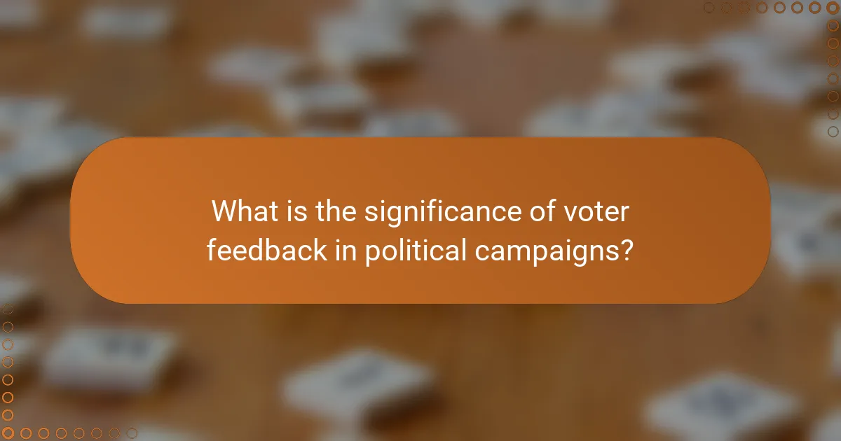 What is the significance of voter feedback in political campaigns?
