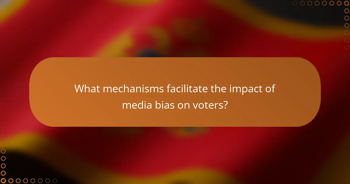 What mechanisms facilitate the impact of media bias on voters?
